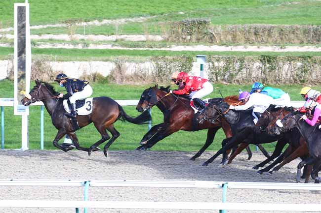Photo d'arrivée de la course pmu PRIX DU HAUT GUE à DEAUVILLE le Mardi 1 décembre 2020