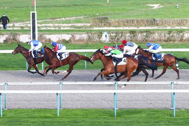 Photo d'arrivée de la course pmu PRIX D'OCCAGNES à DEAUVILLE le Mardi 1 décembre 2020