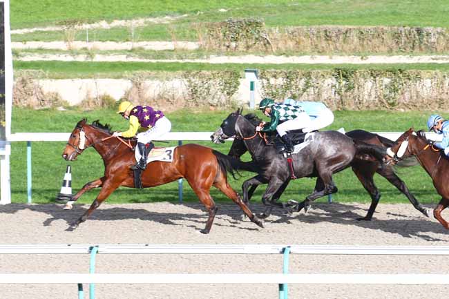 Photo d'arrivée de la course pmu PRIX DE GOLD BEACH à DEAUVILLE le Mardi 1 décembre 2020