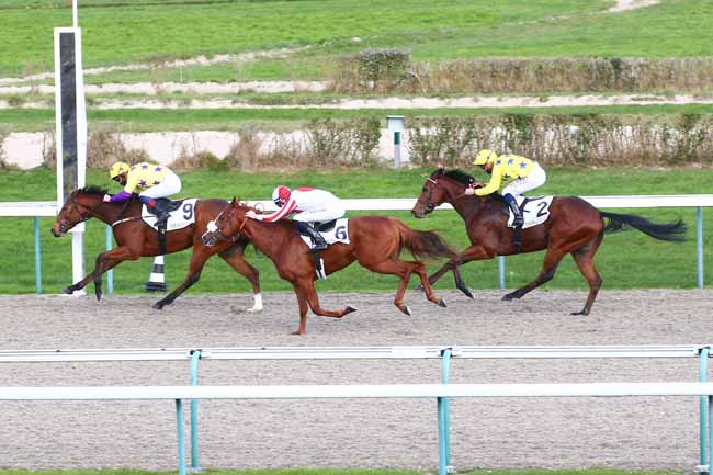 Photo d'arrivée de la course pmu PRIX DE L'HOTELLERIE à DEAUVILLE le Mardi 1 décembre 2020