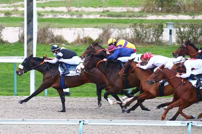 Photo d'arrivée de la course pmu PRIX DE COMMEAUX à DEAUVILLE le Mardi 1 décembre 2020