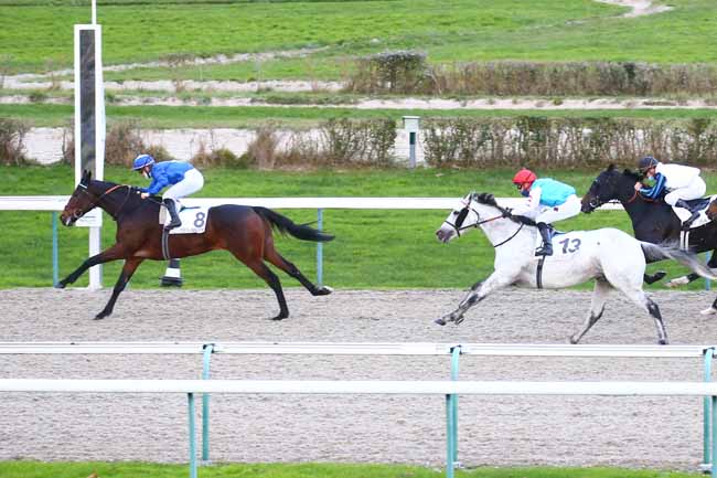 Photo d'arrivée de la course pmu PRIX UTAH BEACH à DEAUVILLE le Mardi 1 décembre 2020
