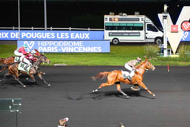 Photo d'arrivée de la course pmu PRIX DE POUGUES-LES-EAUX à PARIS-VINCENNES le Mercredi 2 décembre 2020