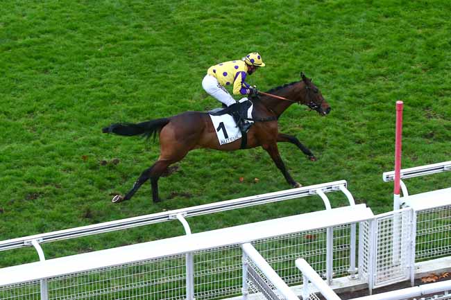 Photo d'arrivée de la course pmu PRIX FRANCOIS DE PONCINS à AUTEUIL le Jeudi 3 décembre 2020