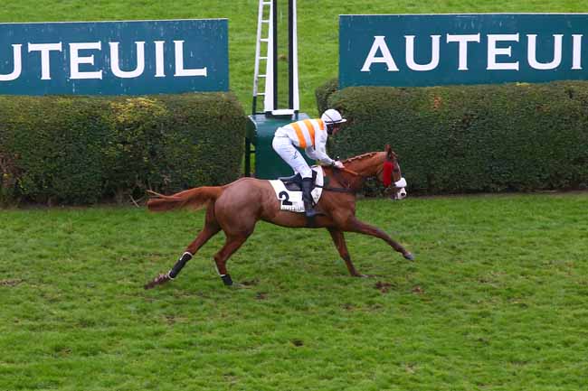 Photo d'arrivée de la course pmu PRIX DE L'ORNE à AUTEUIL le Jeudi 3 décembre 2020