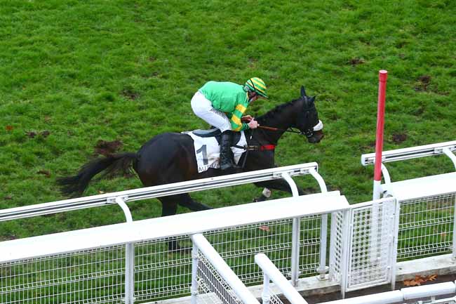 Photo d'arrivée de la course pmu PRIX CHALET à AUTEUIL le Jeudi 3 décembre 2020