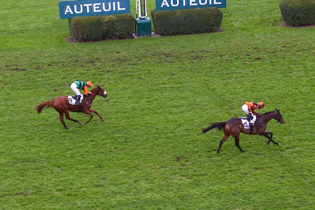Photo d'arrivée de la course pmu PRIX LE PONTET à AUTEUIL le Jeudi 3 décembre 2020