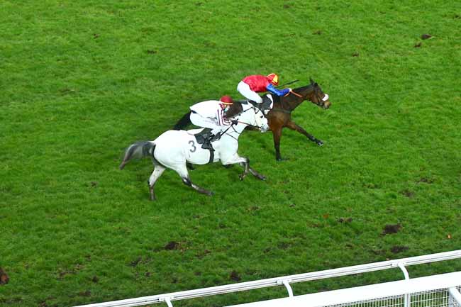 Photo d'arrivée de la course pmu PRIX DANDOLO à AUTEUIL le Jeudi 3 décembre 2020