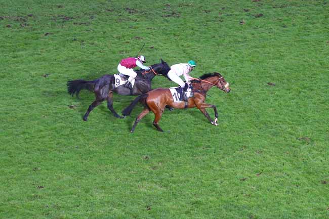 Photo d'arrivée de la course pmu PRIX BERNARD DE DUFAU à AUTEUIL le Jeudi 3 décembre 2020