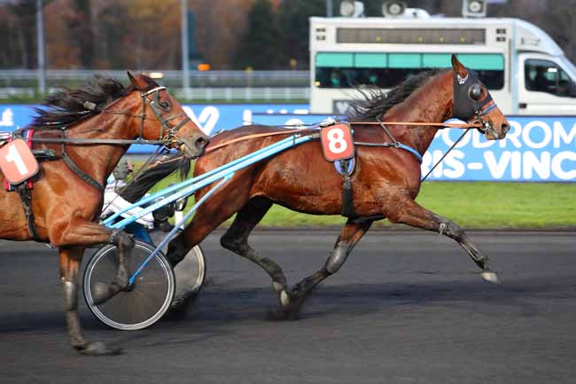 Photo d'arrivée de la course pmu PRIX DOYNEL DE SAINT-QUENTIN à PARIS-VINCENNES le Samedi 5 décembre 2020