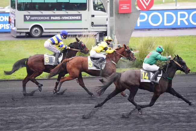 Photo d'arrivée de la course pmu PRIX DE CARPENTRAS à PARIS-VINCENNES le Mercredi 9 décembre 2020