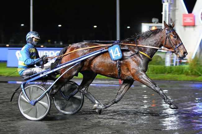 Photo d'arrivée de la course pmu PRIX DE CHAROLLES à PARIS-VINCENNES le Vendredi 11 décembre 2020