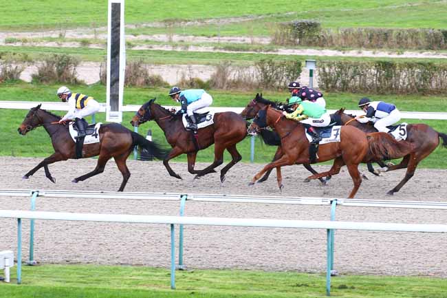 Photo d'arrivée de la course pmu PRIX DES CHAUMINES à DEAUVILLE le Vendredi 11 décembre 2020