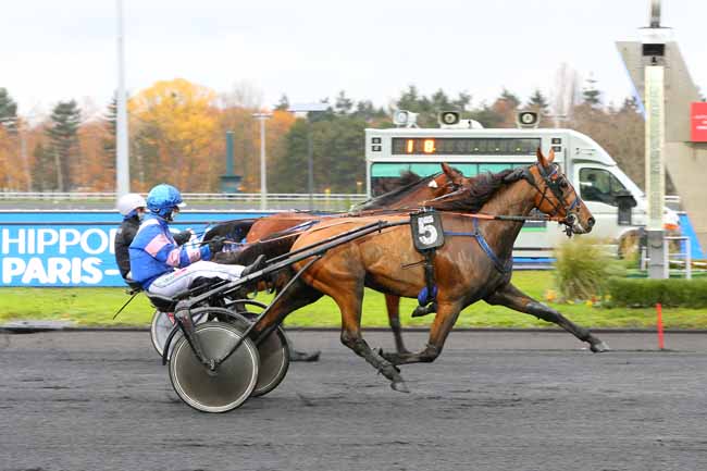 Photo d'arrivée de la course pmu PRIX DE MANSLE à PARIS-VINCENNES le Samedi 12 décembre 2020