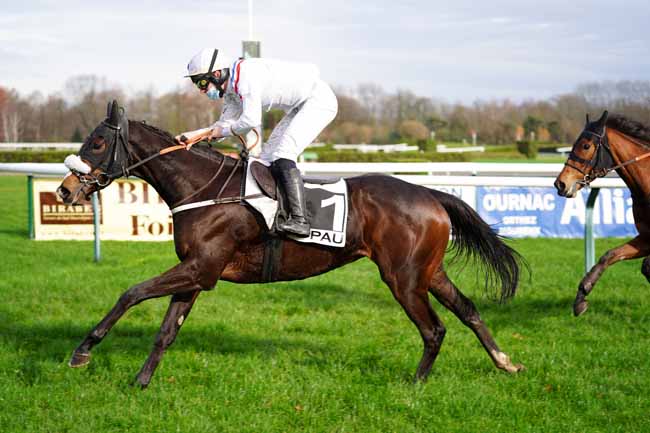 Photo d'arrivée de la course pmu PRIX DE NAVARRENX à PAU le Mardi 15 décembre 2020