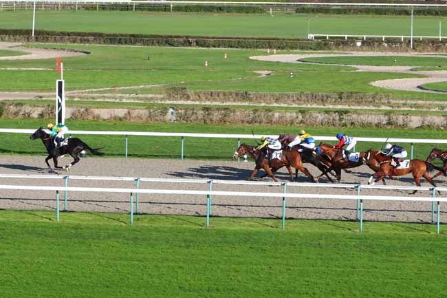 Photo d'arrivée de la course pmu PRIX DE PICAUVILLE à DEAUVILLE le Jeudi 17 décembre 2020