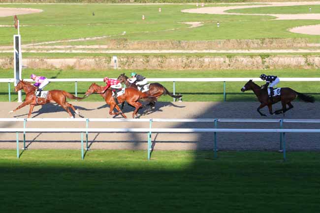 Photo d'arrivée de la course pmu PRIX ARCANGUES à DEAUVILLE le Jeudi 17 décembre 2020