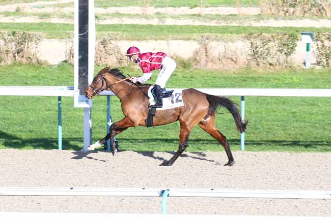 Photo d'arrivée de la course pmu PRIX DE BEAUCHENE à DEAUVILLE le Samedi 19 décembre 2020
