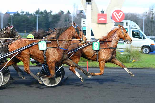 Photo d'arrivée de la course pmu PRIX JEAN DUMOUCH à PARIS-VINCENNES le Dimanche 20 décembre 2020