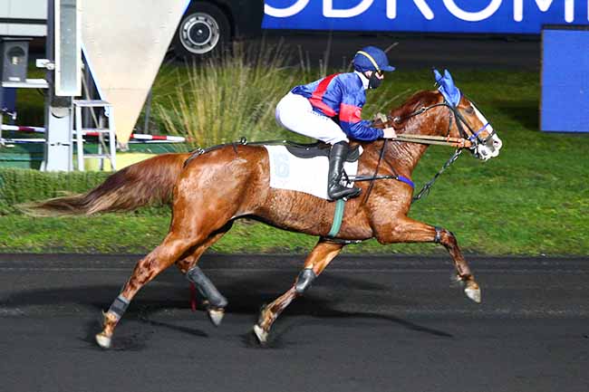 Photo d'arrivée de la course pmu PRIX DE GRAMAT à PARIS-VINCENNES le Dimanche 20 décembre 2020