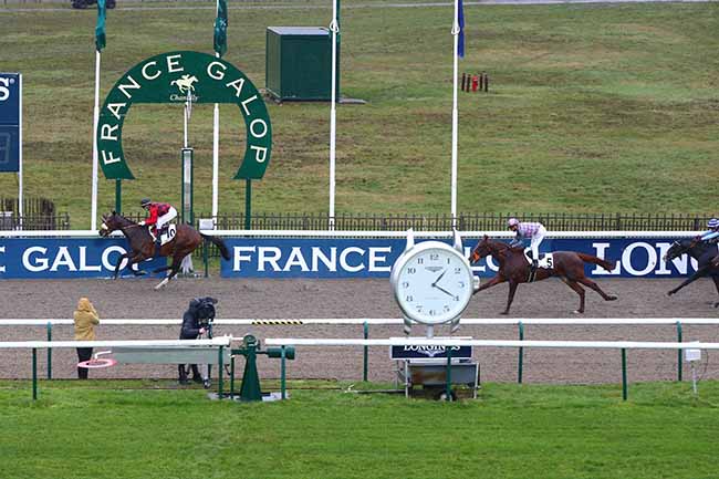 Photo d'arrivée de la course pmu PRIX DE L'ANCIEN POTAGER à CHANTILLY le Lundi 21 décembre 2020