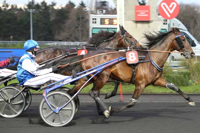Photo d'arrivée de la course pmu PRIX DE LUYNES à PARIS-VINCENNES le Vendredi 25 décembre 2020