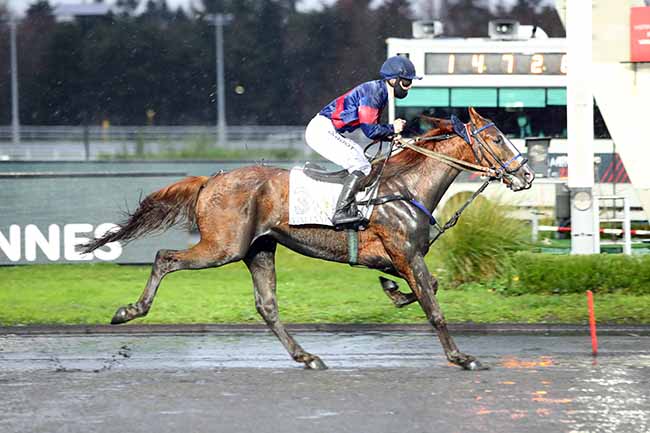 Photo d'arrivée de la course pmu PRIX DE VINCENNES à PARIS-VINCENNES le Dimanche 27 décembre 2020
