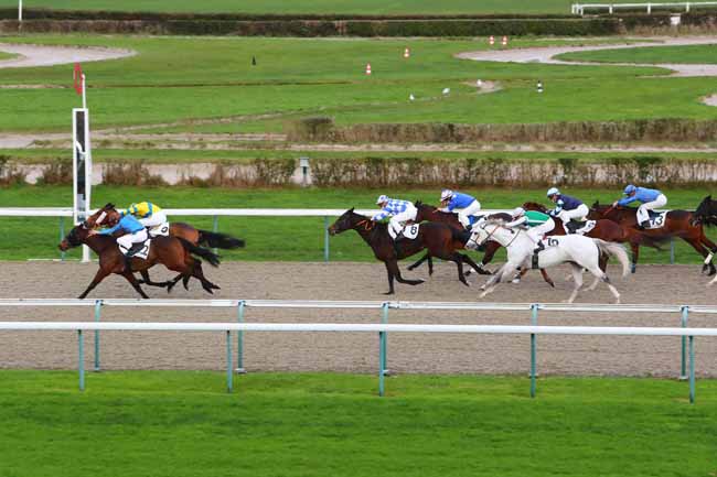 Photo d'arrivée de la course pmu PRIX DE BREUILLY à DEAUVILLE le Dimanche 27 décembre 2020