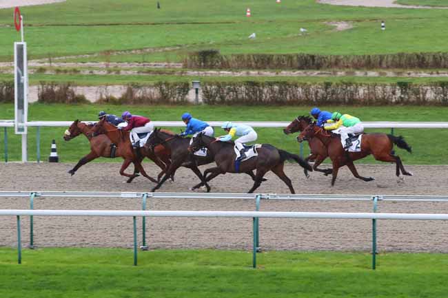 Photo d'arrivée de la course pmu PRIX DE PRAIL à DEAUVILLE le Lundi 28 décembre 2020