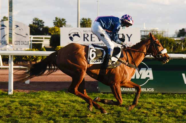 Photo d'arrivée de la course pmu PRIX DU PAYS DE LOIRE à CAGNES-SUR-MER le Mercredi 30 décembre 2020