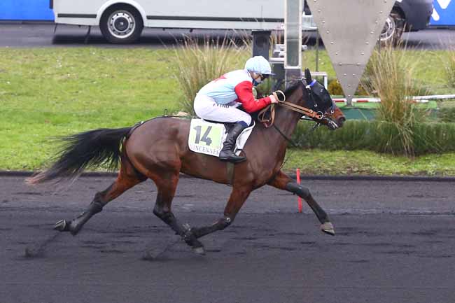 Photo d'arrivée de la course pmu PRIX DE VEZAC à PARIS-VINCENNES le Lundi 4 janvier 2021