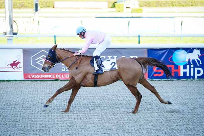 Photo d'arrivée de la course pmu PRIX DE LAROIN à PAU le Mercredi 6 janvier 2021