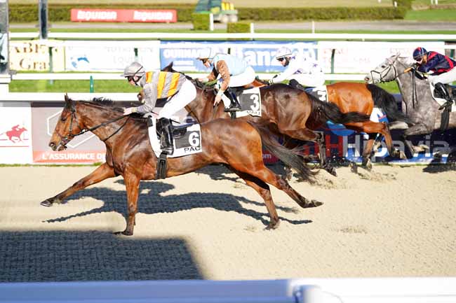 Photo d'arrivée de la course pmu PRIX DE MORLAAS à PAU le Mercredi 6 janvier 2021