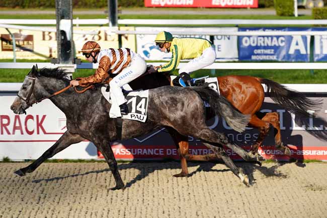 Photo d'arrivée de la course pmu PRIX DE MONTANER à PAU le Mercredi 6 janvier 2021
