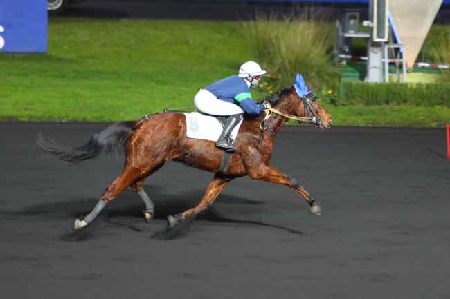Photo d'arrivée de la course pmu PRIX DE NEUVILLE à PARIS-VINCENNES le Jeudi 7 janvier 2021