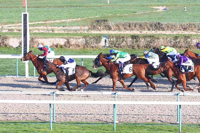 Photo d'arrivée de la course pmu PRIX DU PHARE à DEAUVILLE le Samedi 9 janvier 2021