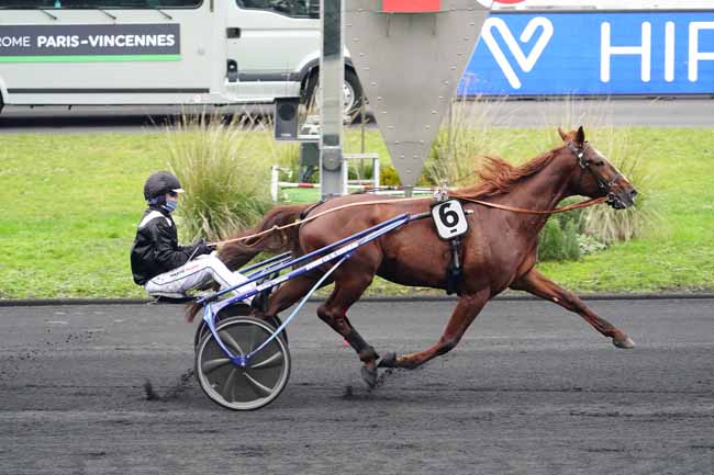 Photo d'arrivée de la course pmu PRIX DE LA MOSELLE à PARIS-VINCENNES le Lundi 11 janvier 2021