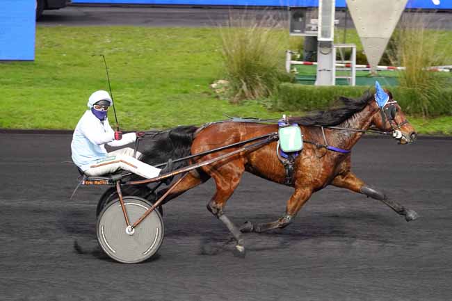 Photo d'arrivée de la course pmu PRIX DE TALENCE à PARIS-VINCENNES le Lundi 11 janvier 2021