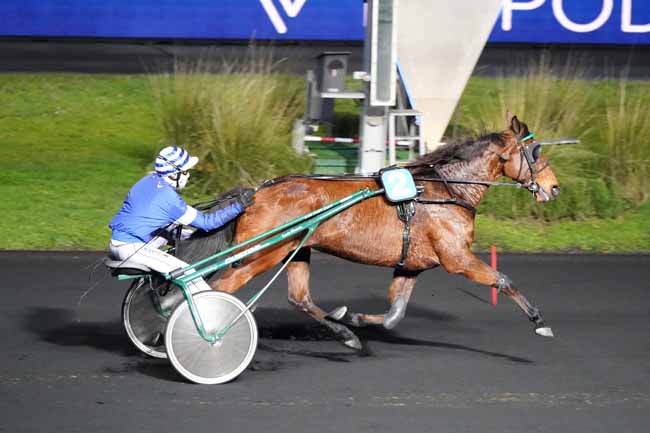 Photo d'arrivée de la course pmu PRIX D'AUBERVILLIERS à PARIS-VINCENNES le Lundi 11 janvier 2021