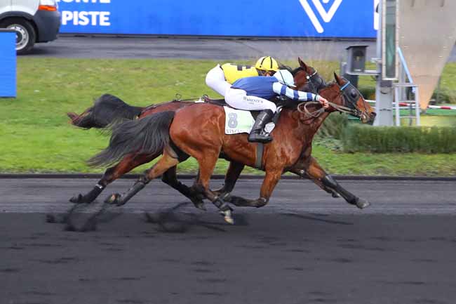 Photo d'arrivée de la course pmu PRIX DE SARTILLY à PARIS-VINCENNES le Vendredi 15 janvier 2021
