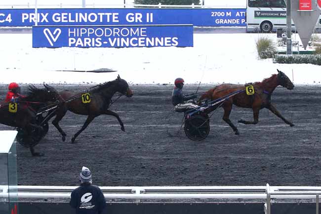 Photo d'arrivée de la course pmu PRIX GELINOTTE à PARIS-VINCENNES le Samedi 16 janvier 2021