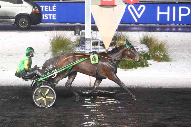 Photo d'arrivée de la course pmu PRIX DE FENEU à PARIS-VINCENNES le Samedi 16 janvier 2021