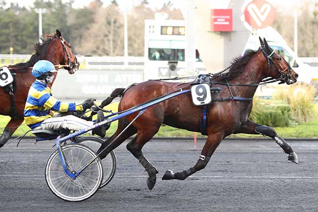 Photo d'arrivée de la course pmu PRIX DE RIBERAC à PARIS-VINCENNES le Dimanche 17 janvier 2021