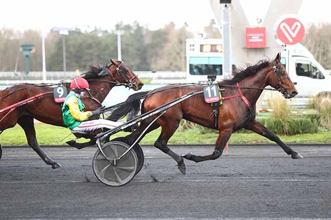Photo d'arrivée de la course pmu PRIX AMERIQUE RACES ZETURF QUALIF 6 - PRIX DE BELGIQUE à PARIS-VINCENNES le Dimanche 17 janvier 2021