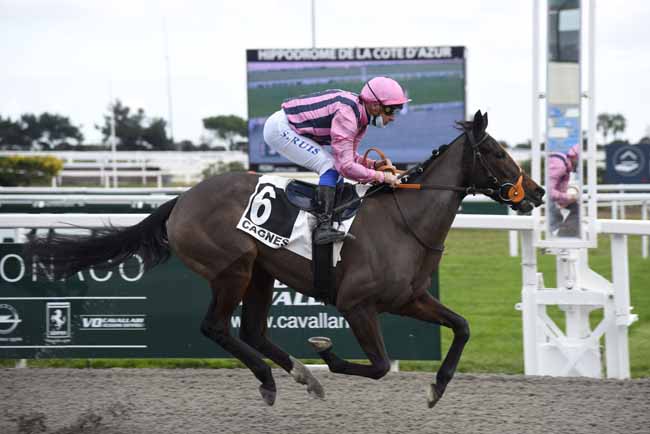 Photo d'arrivée de la course pmu PRIX BONNARD à CAGNES-SUR-MER le Mercredi 20 janvier 2021