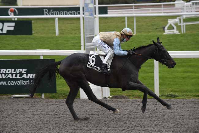 Photo d'arrivée de la course pmu PRIX DES ILES DE LERINS à CAGNES-SUR-MER le Vendredi 22 janvier 2021