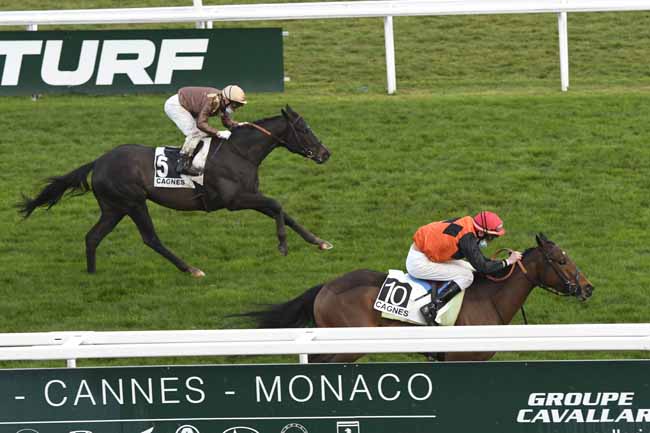 Photo d'arrivée de la course pmu PRIX CHARLES GASTAUD à CAGNES-SUR-MER le Vendredi 22 janvier 2021