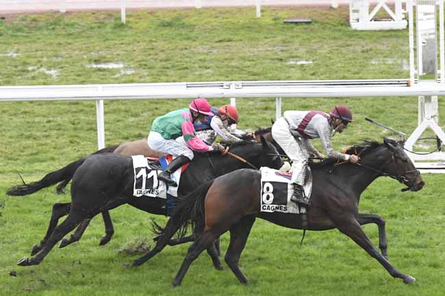 Photo d'arrivée de la course pmu PRIX JEAN-GABRIEL DOMERGUE à CAGNES-SUR-MER le Vendredi 22 janvier 2021