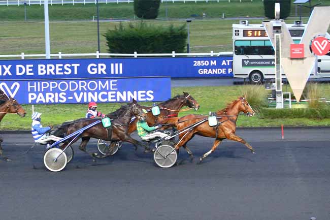 Photo d'arrivée de la course pmu PRIX DE BREST à PARIS-VINCENNES le Samedi 23 janvier 2021