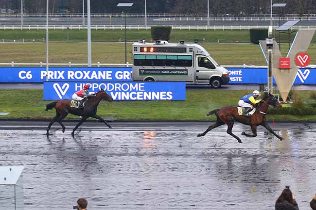 Photo d'arrivée de la course pmu PRIX ROXANE GRIFF à PARIS-VINCENNES le Dimanche 24 janvier 2021